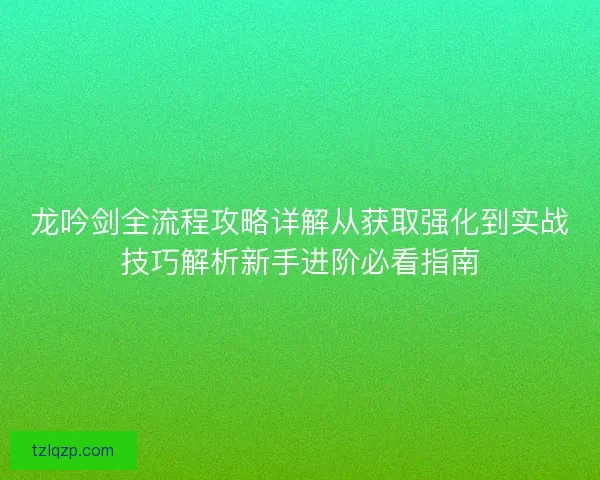 龙吟剑全流程攻略详解从获取强化到实战技巧解析新手进阶必看指南