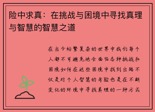 险中求真：在挑战与困境中寻找真理与智慧的智慧之道
